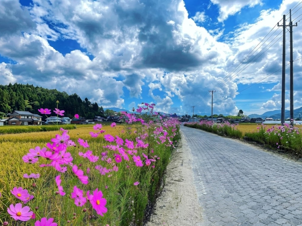 Ziro valley - Photo Gallery