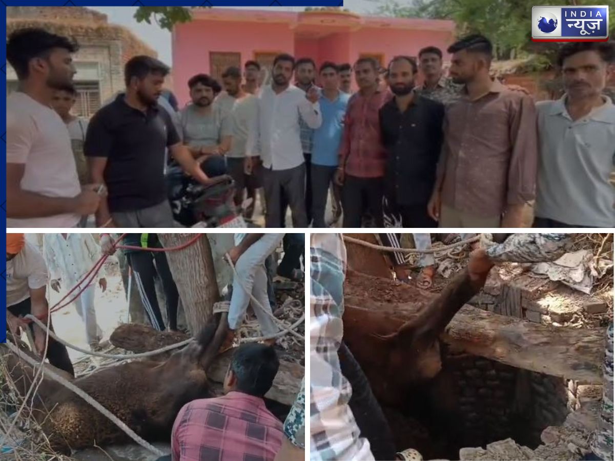 साहब के पास वक्त नहीं, JCB है खराब: कुएं में गिरी गाय को करणी सेना ने दिया जीवनदान, रेस्क्यू में छूटे पसीने!