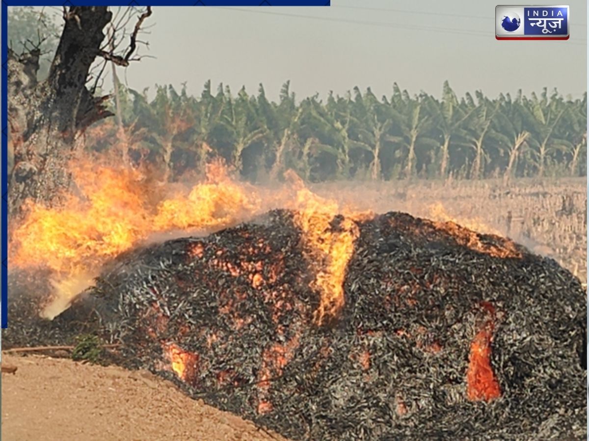 Burhanpur Fire: बुरहानपुर में भीषण आग का कहर, 40 एकड़ फसल जलकर राख, किसानों को लाखों का नुकसान