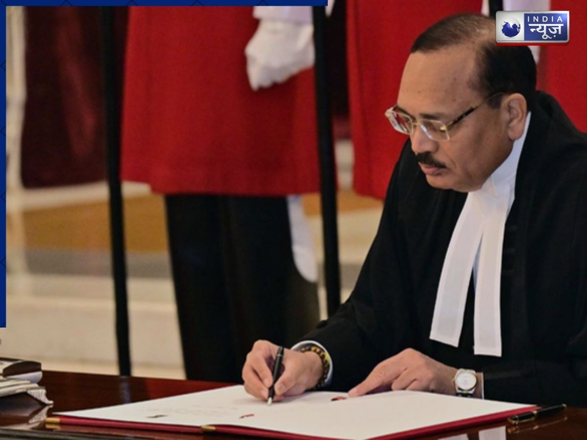 कॉकरोच जैसे कुछ युवाओं को अगर नौकरी न मिले… CJI सूर्यकांत ने बेरोजगार लोगों को लगाई फटकार