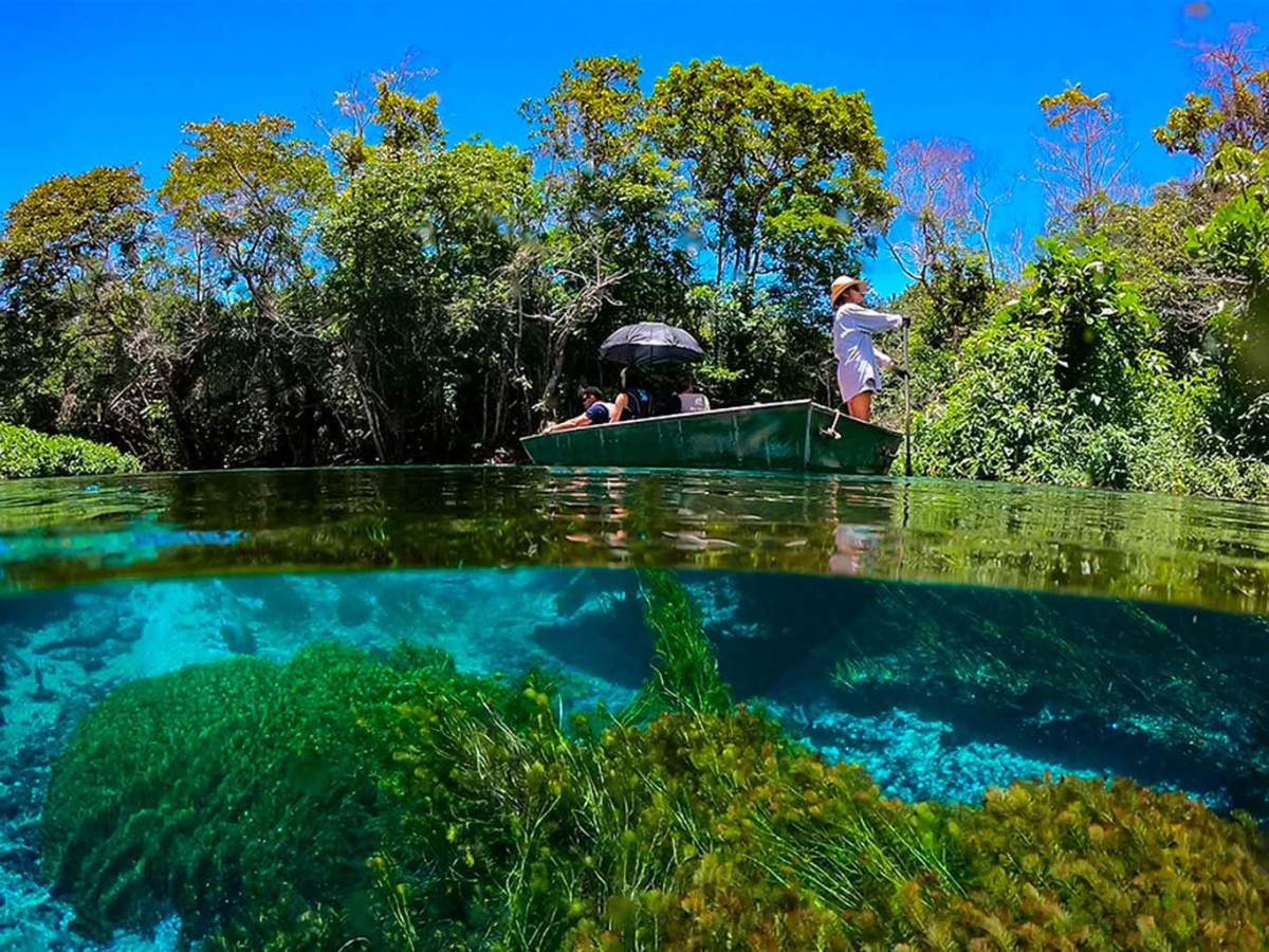 rio sucuri river - Photo Gallery