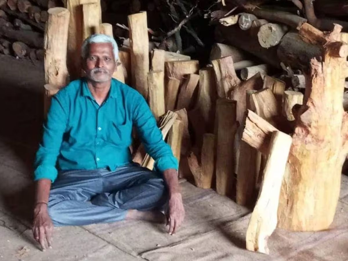 40 साल पुराना पेड़ गिरा तो खुल गई 85 साल के बुजुर्ग की किस्मत! आंगन में मिला ऐसा खजाना, देखकर रह गए दंग