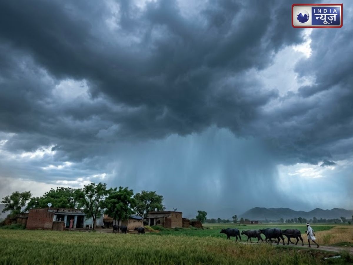 हरियाणा वालों के लिए राहत की खबर, उमस से मिलेगी छुट्टी; कई जिलों में IMD ने जारी किया बारिश का अलर्ट