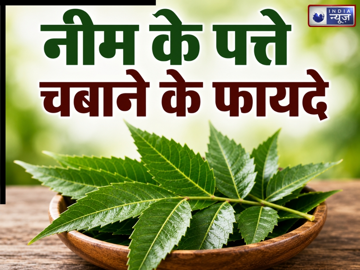 खून की सफाई से स्किन ग्लो तक… 5 बीमारियों की छुट्टी कर देंगी ये पत्तियां! रोज सुबह खाली पेट चबाना करें शुरू