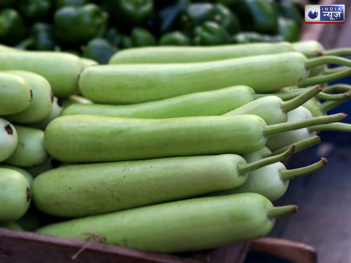 Bottle gourd - Photo Gallery