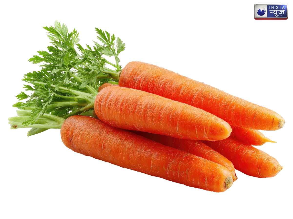 Carrot - Photo Gallery