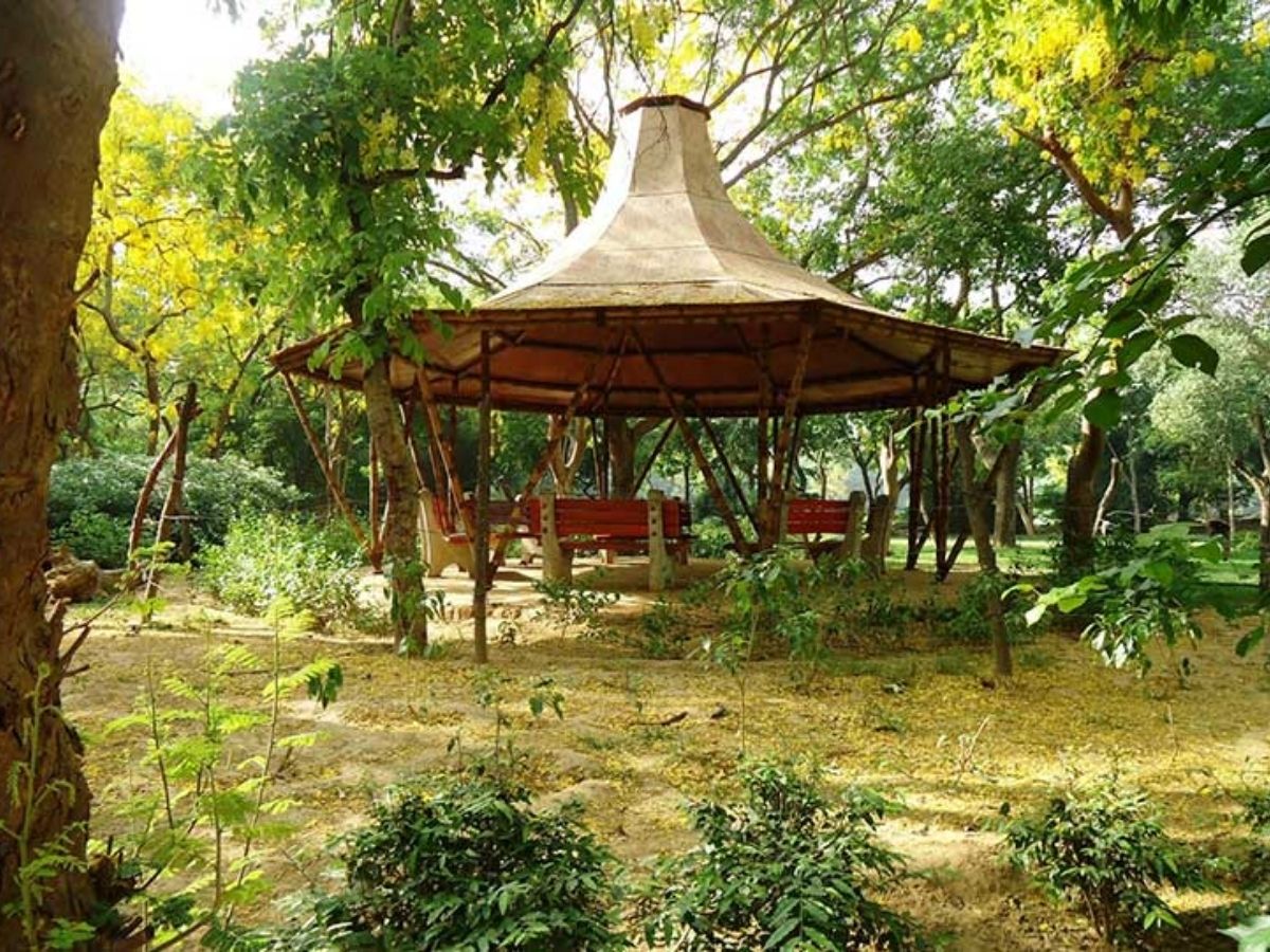 sanjay van - Photo Gallery
