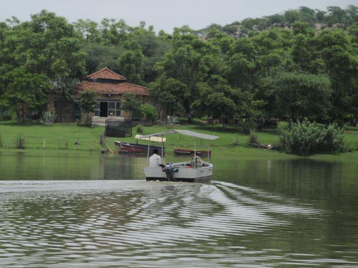 Damdama Lake - Photo Gallery