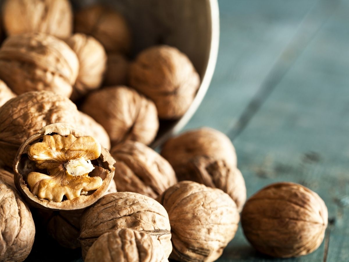 Walnuts Health Benefits - Photo Gallery
