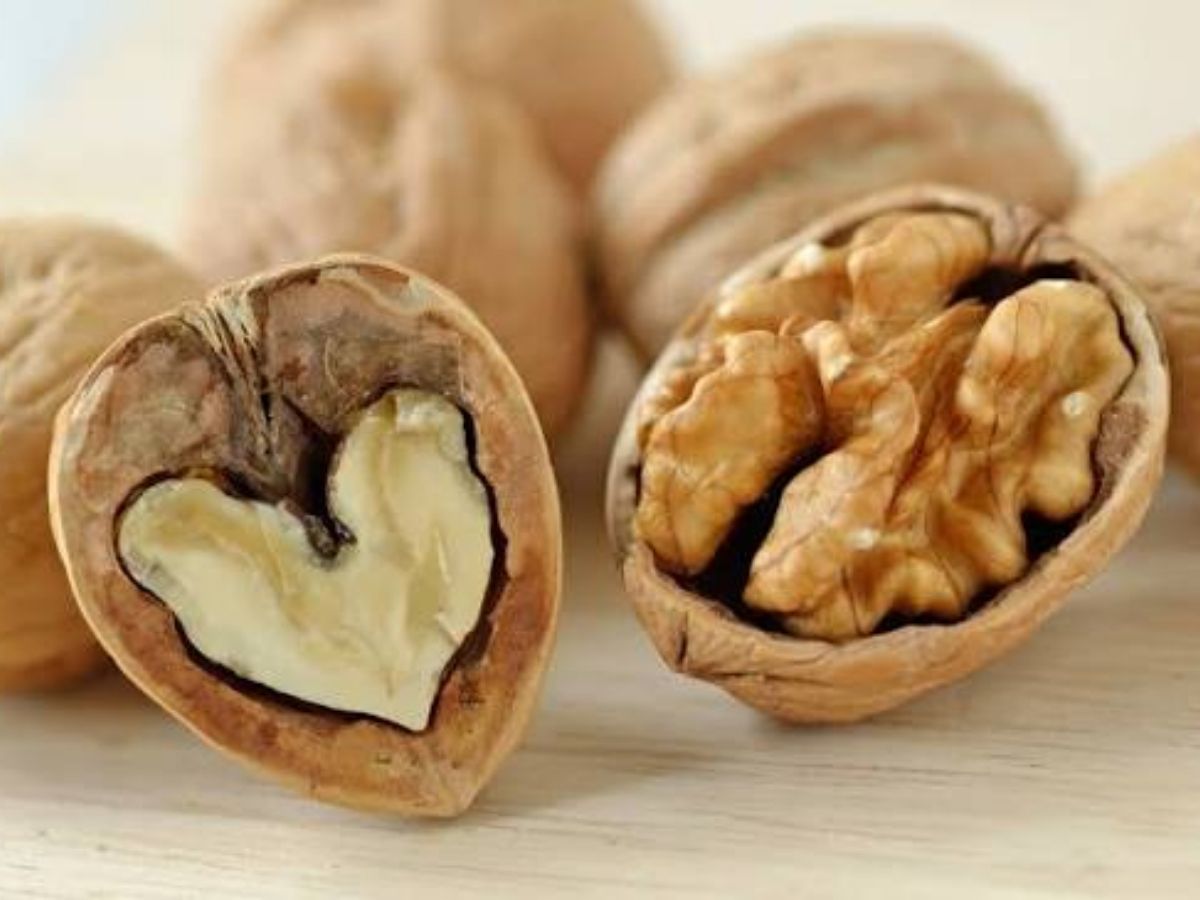 Walnuts Health - Photo Gallery