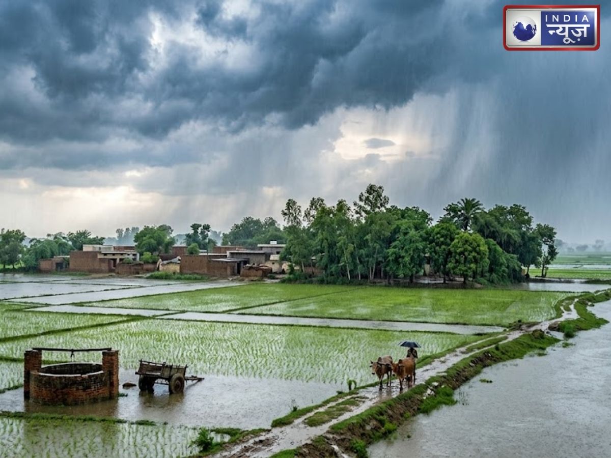 Haryana Weather Update: हरियाणा में फिर एक्टिव होगा मानसून, 6 अगस्त तक कई जिलों में झमाझम बारिश के आसार