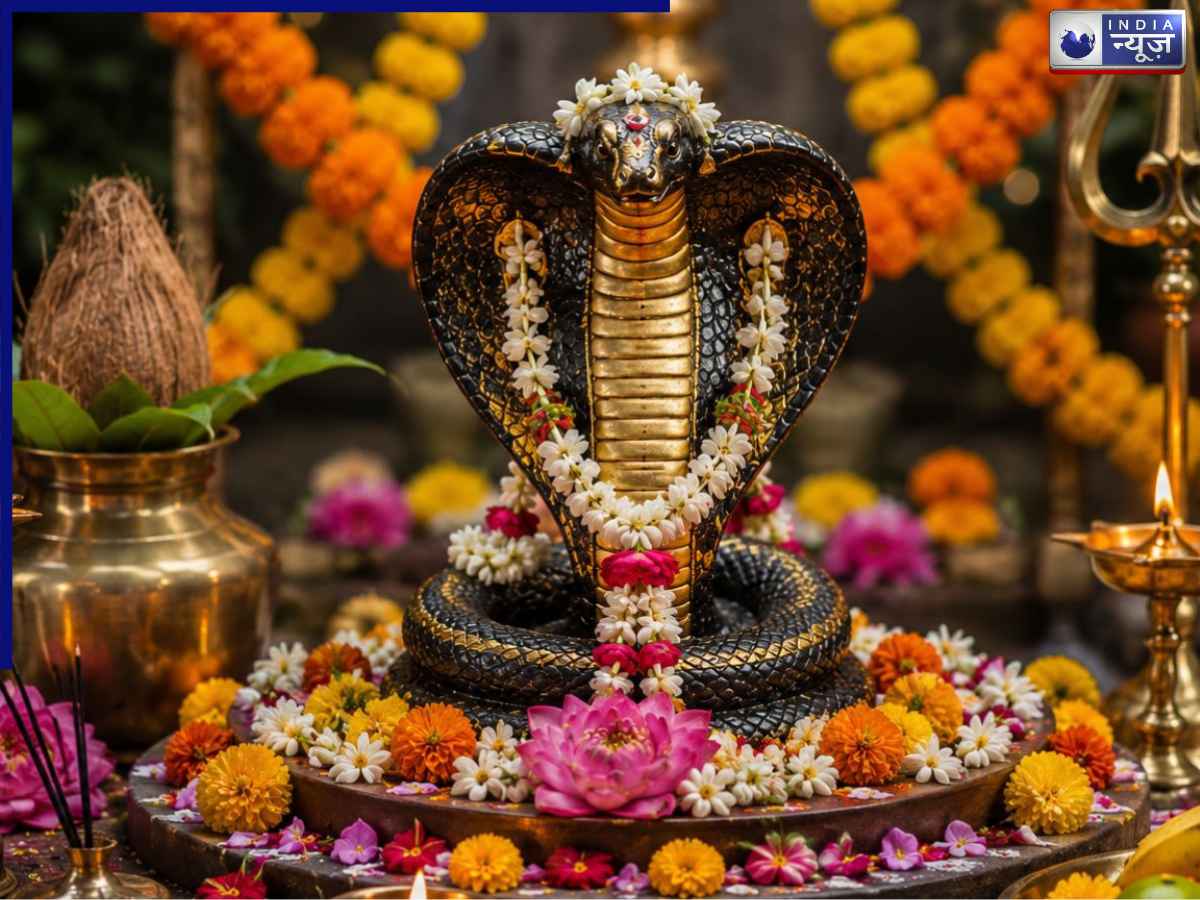 Nag Panchami 2026: इस नाग पंचमी भूलकर भी ना करें ये काम, जानें पूजा करते समय किन-किन बातों का रखें ध्यान