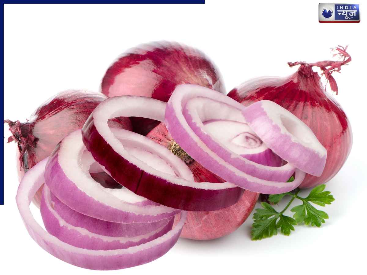 Onion - Photo Gallery