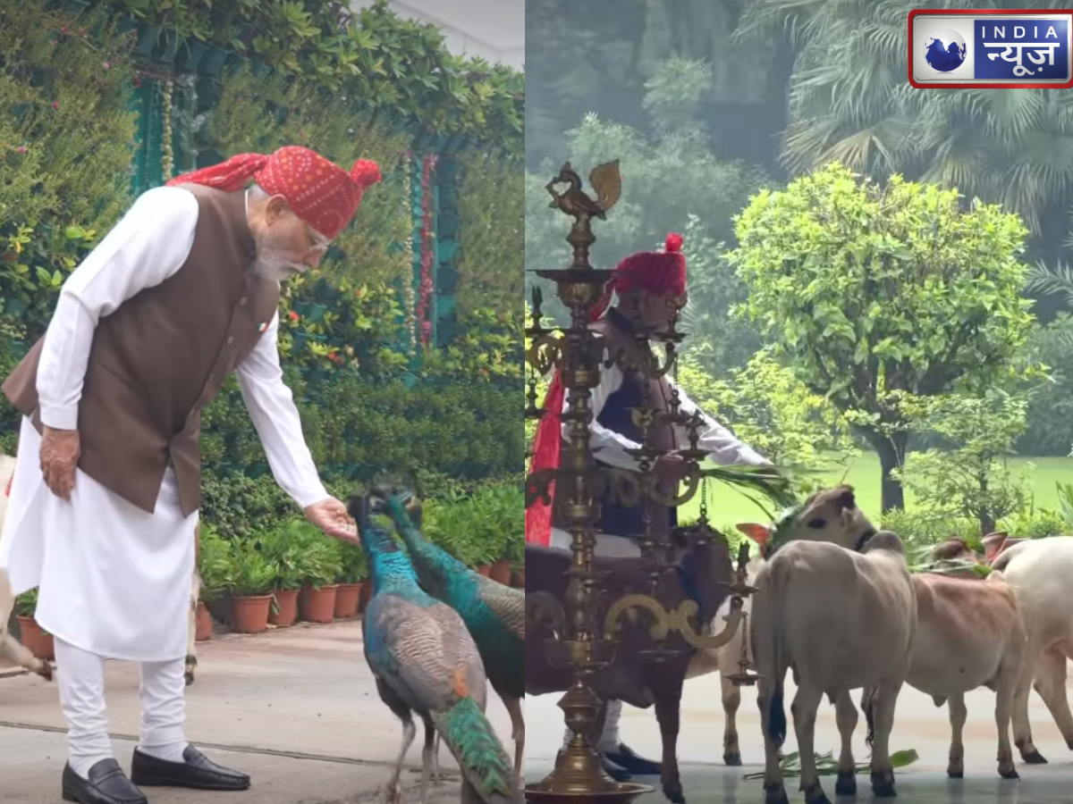 गाय को खिलाया चारा, मोर को दिया दाना…PM मोदी ने इंस्टाग्राम पर शेयर किया अपना रूटीन, वीडियो में लिखा खास संदेश