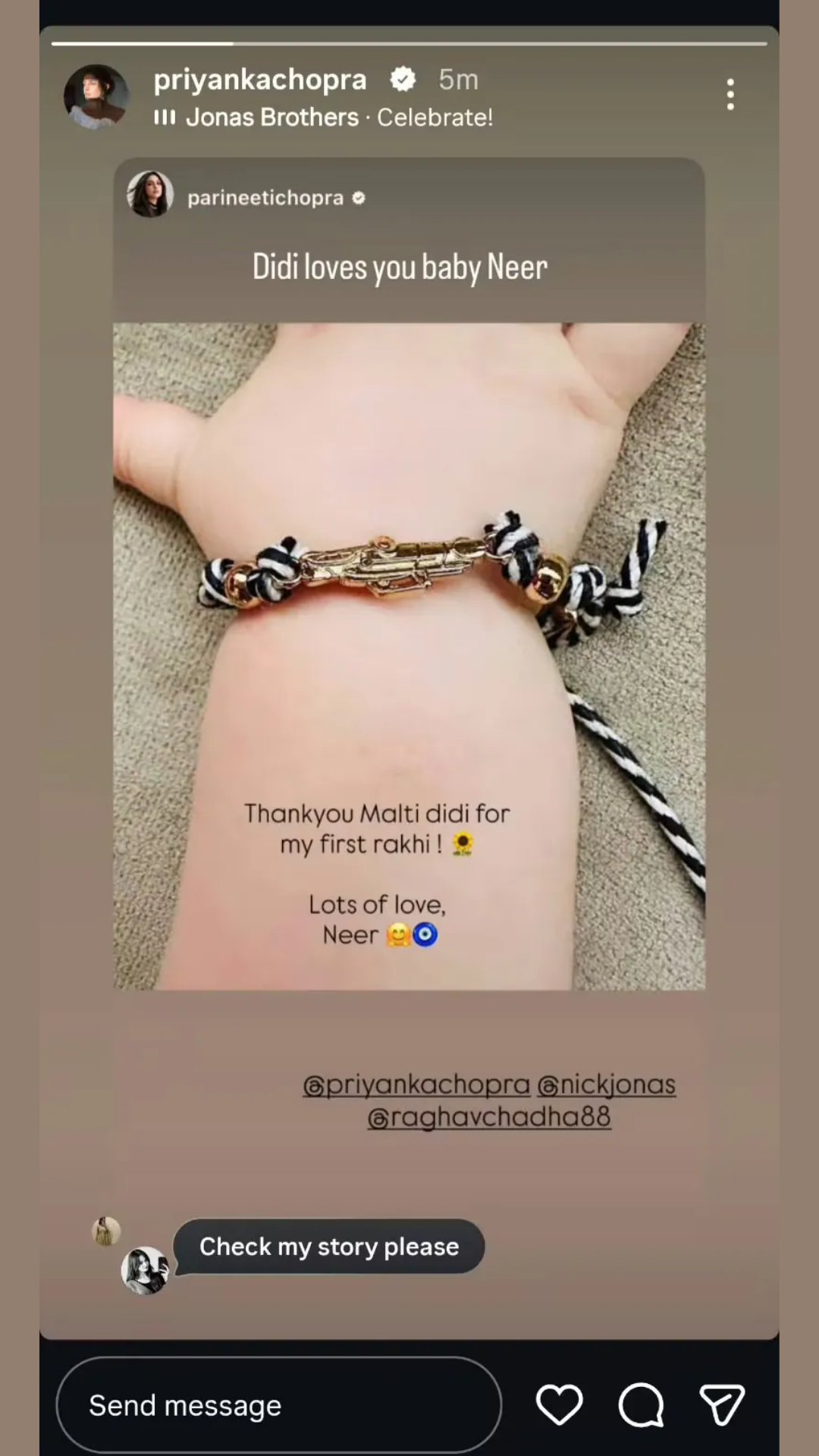 priyanka chopra instagram story priyanka chopra instagram story