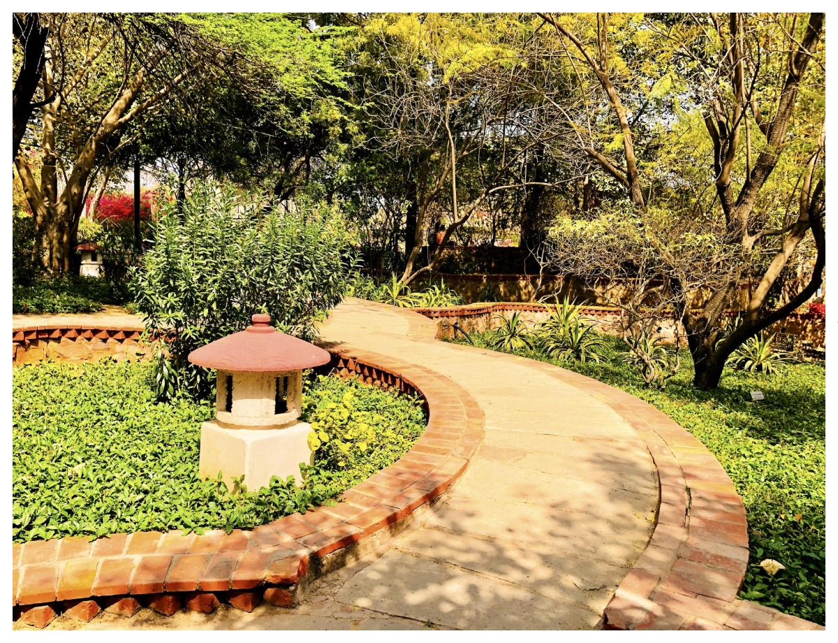 Spend time amidst nature at the Garden of Five Senses - Photo Gallery