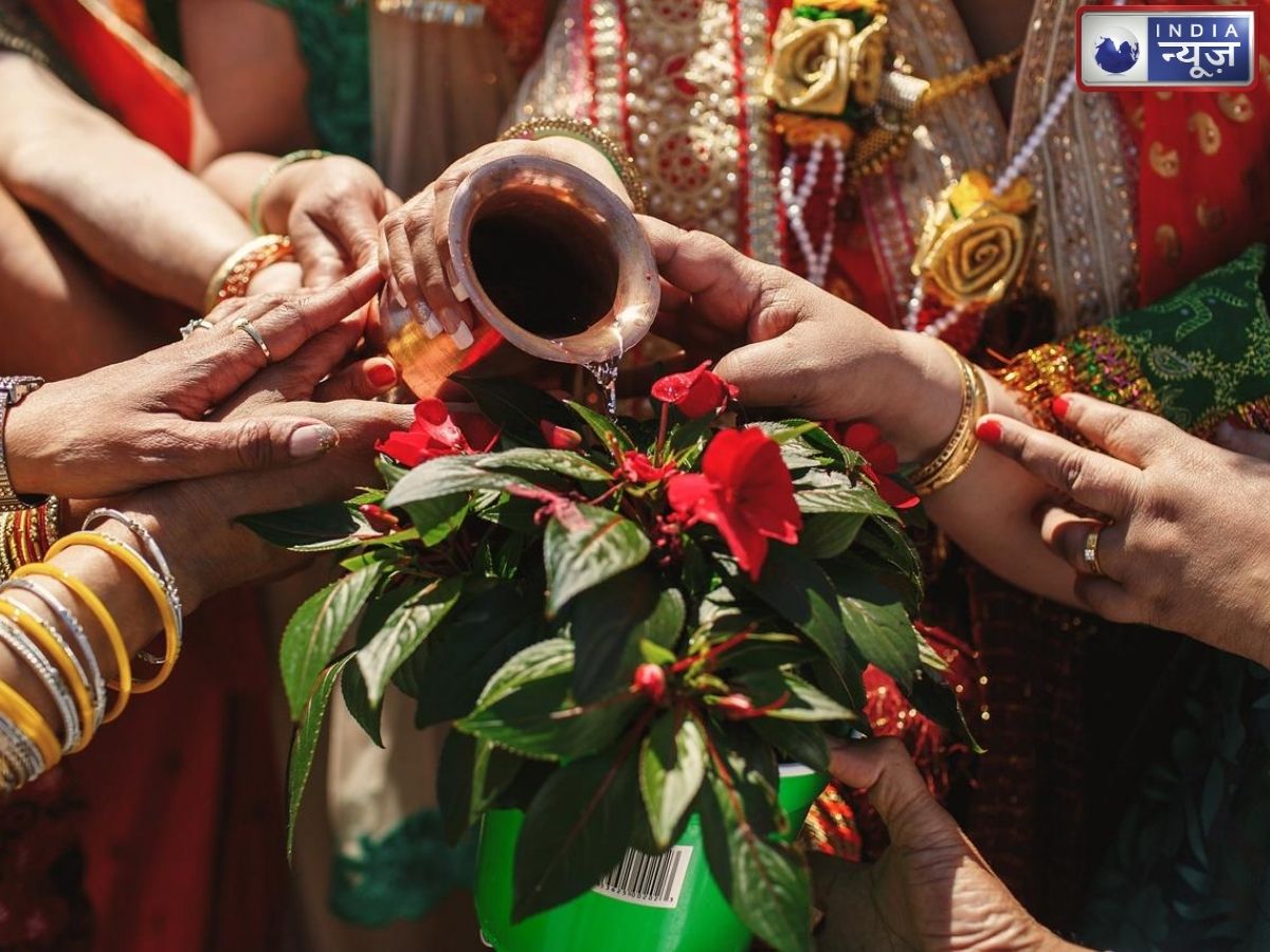 Hariyali Teej 2026: हरियाली तीज पर गर्भवती महिलाएं न करें ये गलती, व्रत रखने से पहले जान लें जरूरी नियम