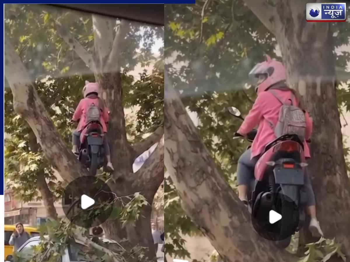 Video: ‘गजब टैलेंट है…’, पेड़ पर स्कूटी चढ़ाकर लड़की ने की ऐसी पार्किंग; देख मर्दों के उड़े होश