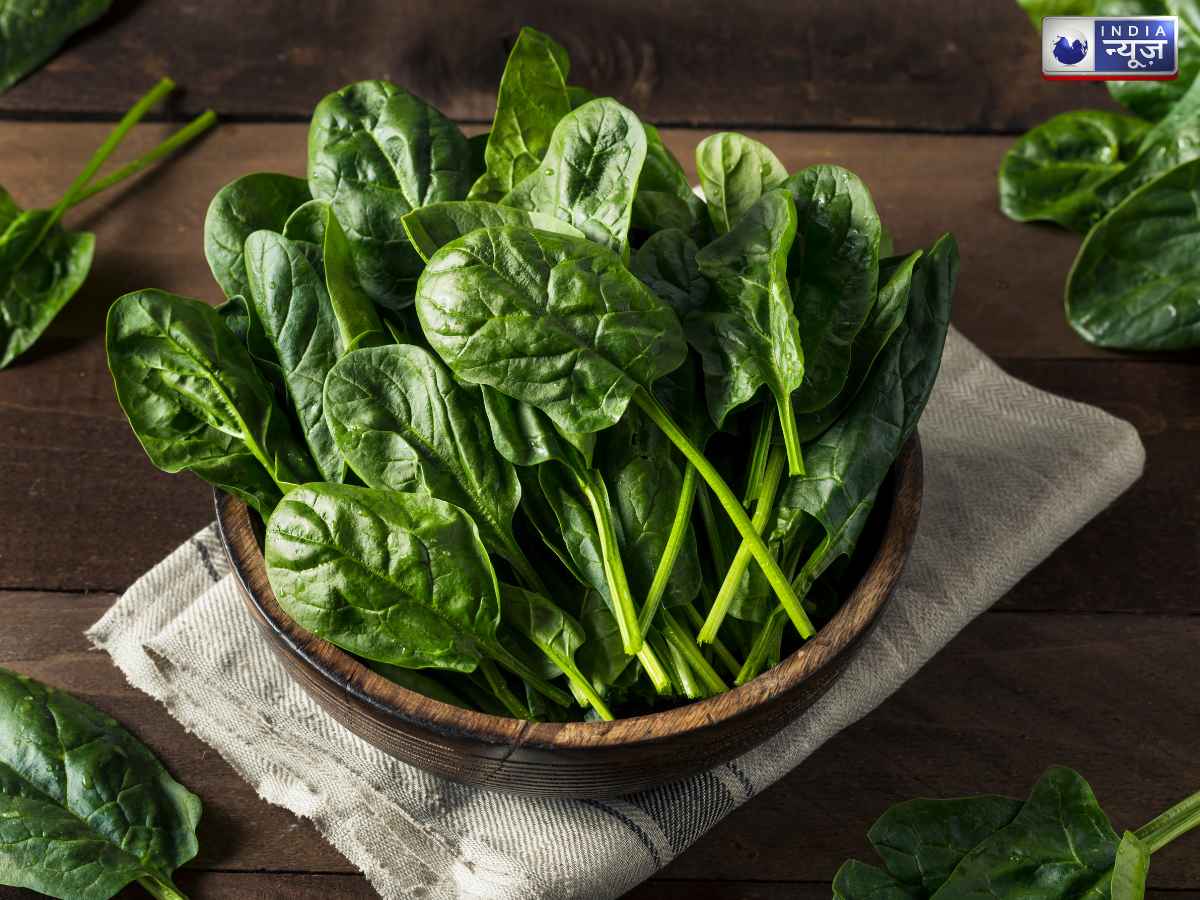spinach - Photo Gallery