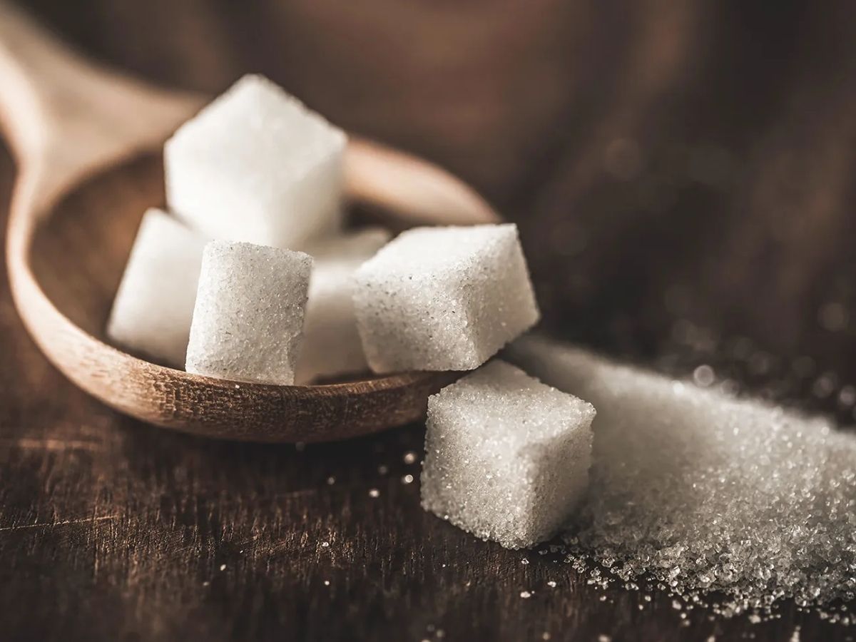 sugar history - Photo Gallery