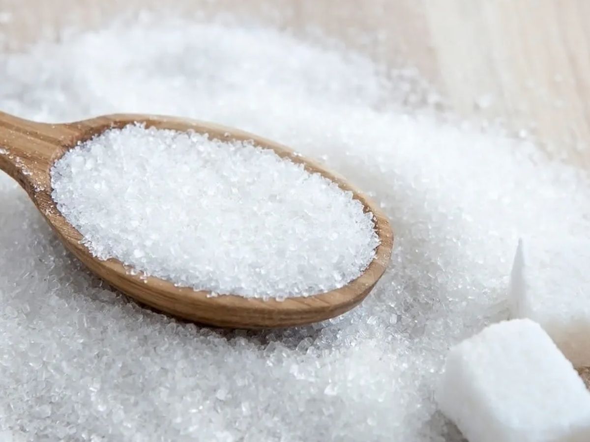 sugar history - Photo Gallery