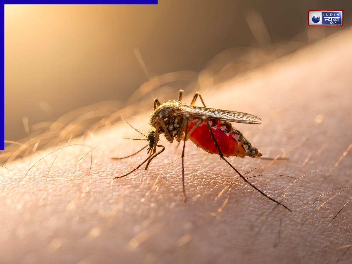 अलर्ट मोड में दिल्ली: H1N1-H3N2, डेंगू ने बढ़ाई राजधानी में चिंता; सर्दी-जुकाम और फ्लू अगर एक-दो दिन से ज्यादा हों तो हो जाएं सावधान
