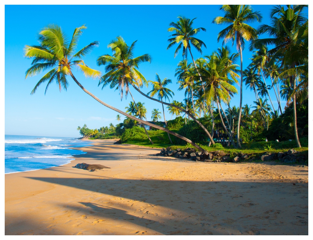 Sri Lanka – a complete package from the sea to the mountains - Photo Gallery