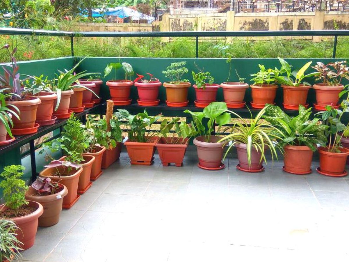 Excessive water intake is harmful - Photo Gallery