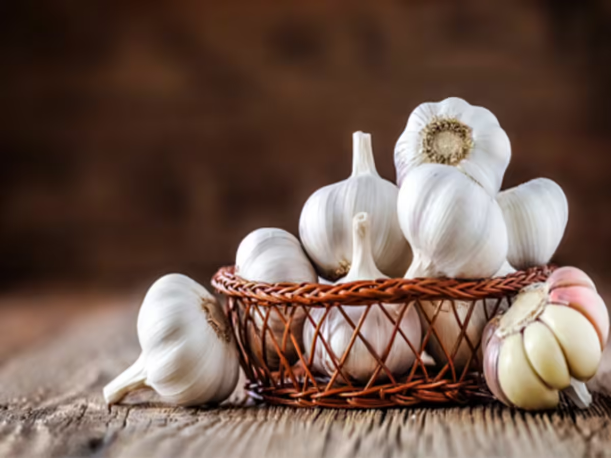 garlic - Photo Gallery