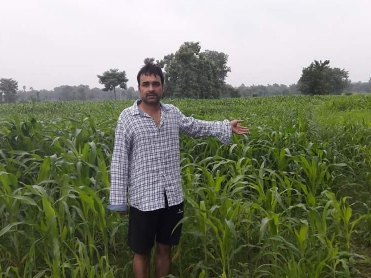 pankaj tripathi - Photo Gallery
