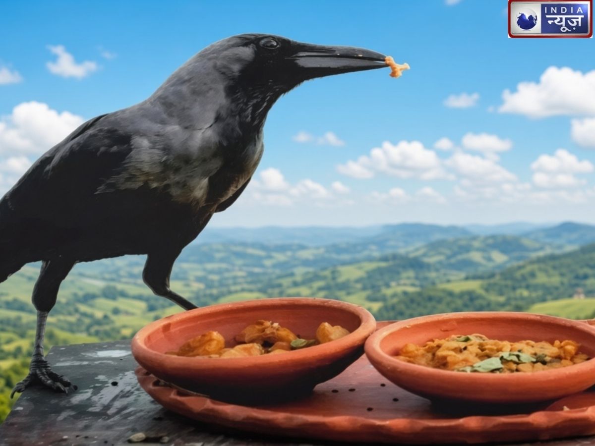 Pitru Paksha 2026: आखिर कौवे को ही क्यों खिलाते हैं श्राद्ध का भोजन? गरुड़ पुराण से जुड़ी है मान्यता