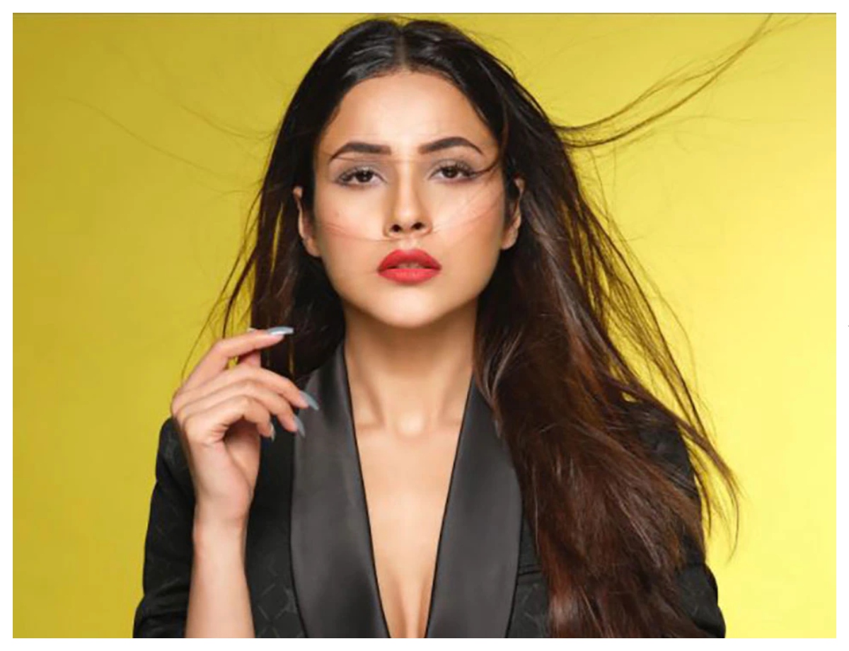 Shahnaz Gill - Photo Gallery
