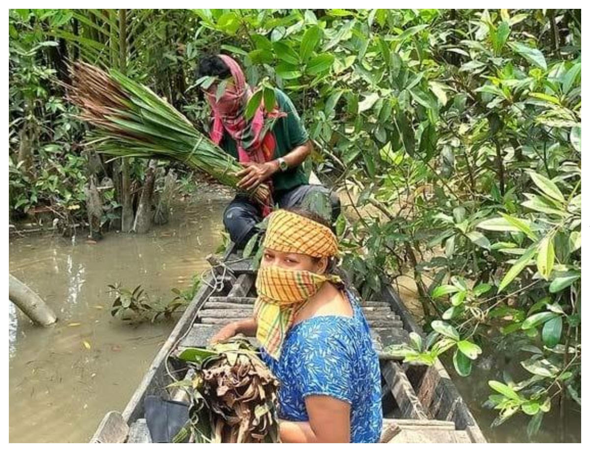 Camp in the jungle for 10-15 days with luggage in a boat - Photo Gallery