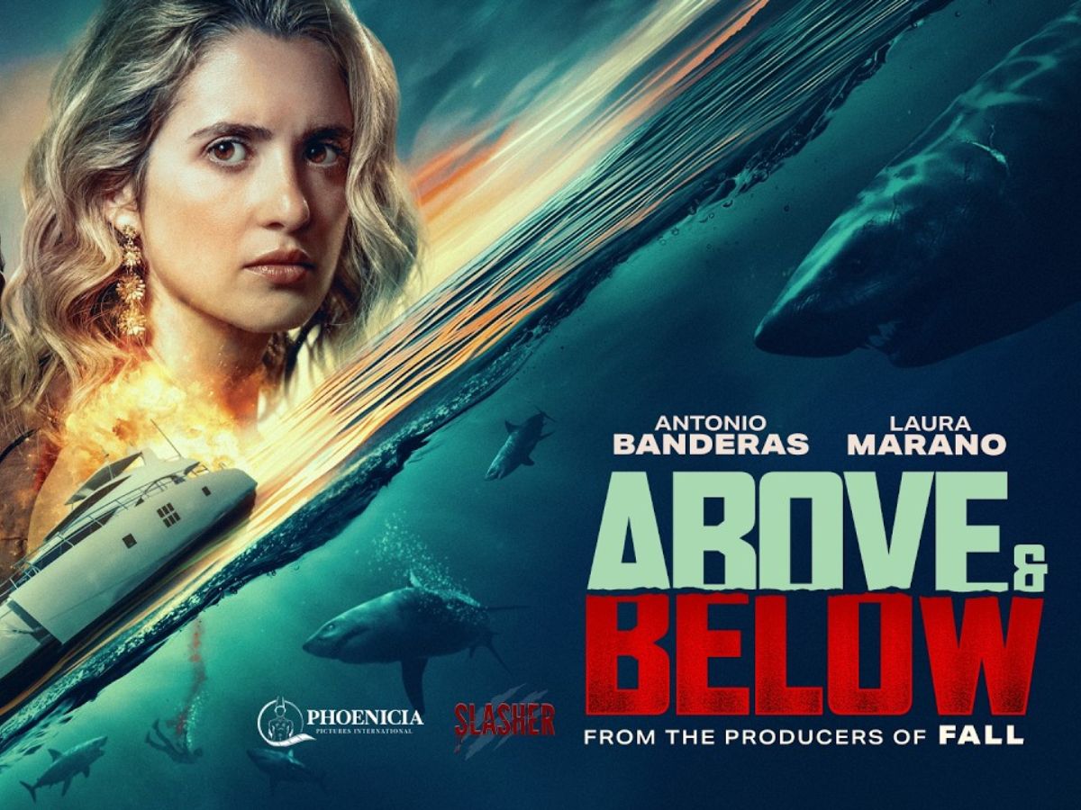 Above & Below - Photo Gallery