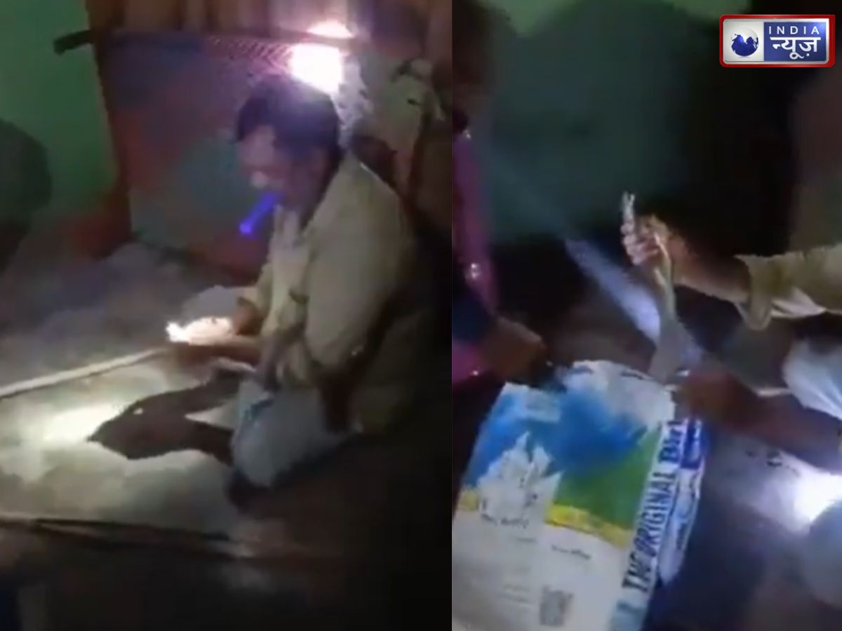 Caught on Camera: दूसरों को सांपों से बचाता था सपेरा, एक जहरीले सांप ने ले ली जान; परिवार में मचा कोहराम
