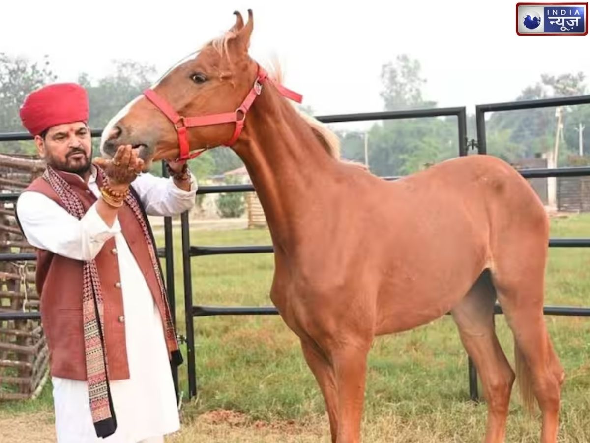 Brijbhushan Sharan Singh Birthday Gift: न गाड़ी, न सोना… बृजभूषण शरण सिंह को तोहफे में मिला 1 करोड़ का घोड़ा; आखिर क्या है इसकी खासियत?
