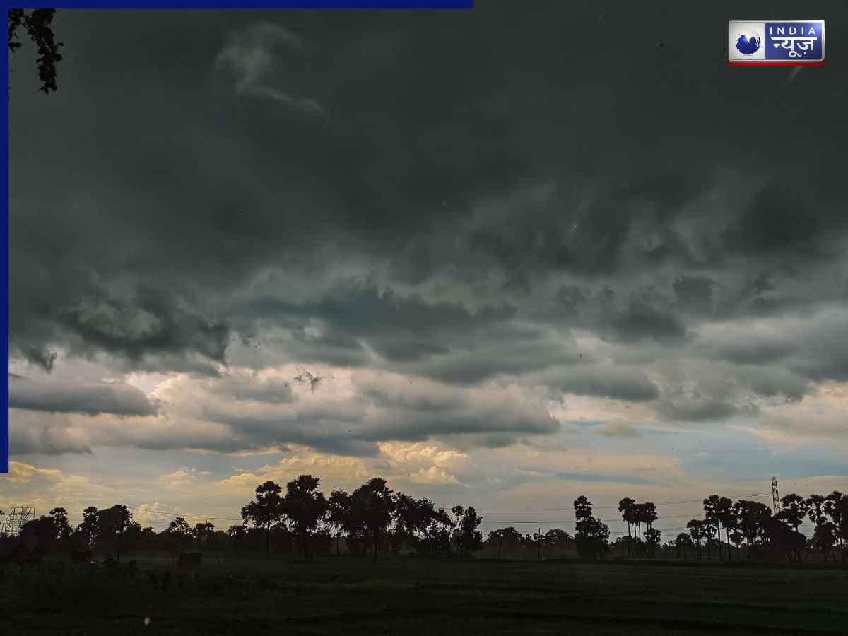 Delhi NCR Weather: दिल्ली पर छाए काले बादल, तेज आंधी से डरे लोग; आने वाली है आफत? घर से निकलने से पहले जरूर देख लें IMD का अलर्ट