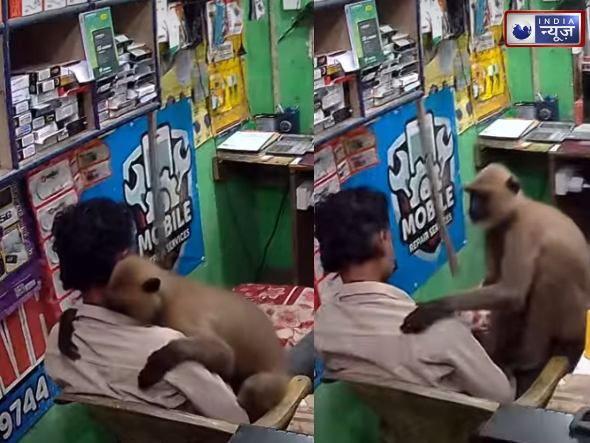 Monkey Viral Video: दुकान में घुसा लंगूर, दुकानदार की गोद में बैठकर लगाया गले, देखें वीडियो