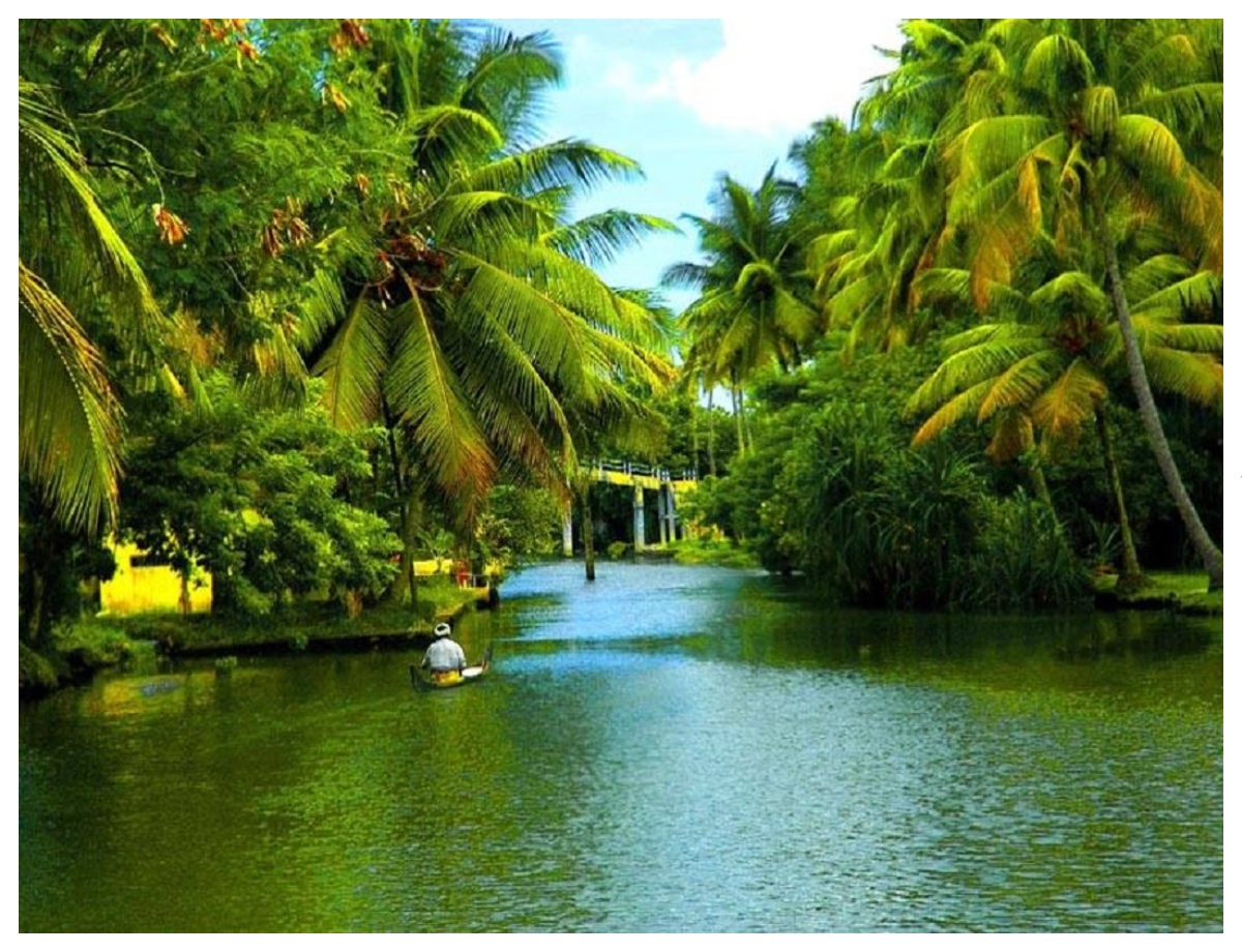 You will find peace in the greenery and backwaters of Kerala. - Photo Gallery