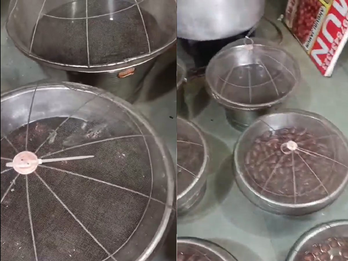 Maharashtra News: गुलाब जामुन खरीदने गए ग्राहक, बर्तन में तैरते मिले चूहे, Video Viral होने के बाद FDA ने लिया एक्शन