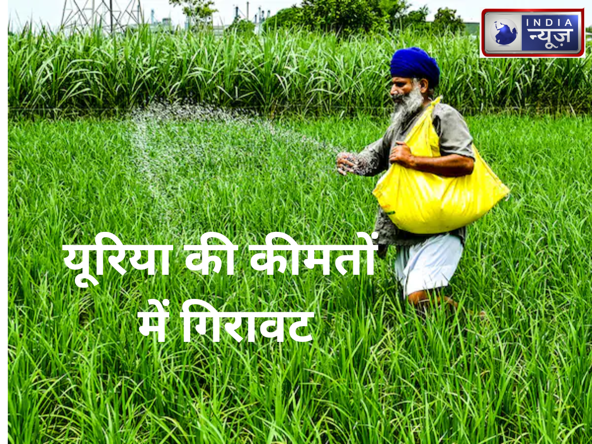 Urea Price Fall In India: यूरिया की कीमतों में 10% तक गिरावट, रबी सीजन से पहले किसानों को राहत